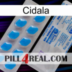 Cidala new15